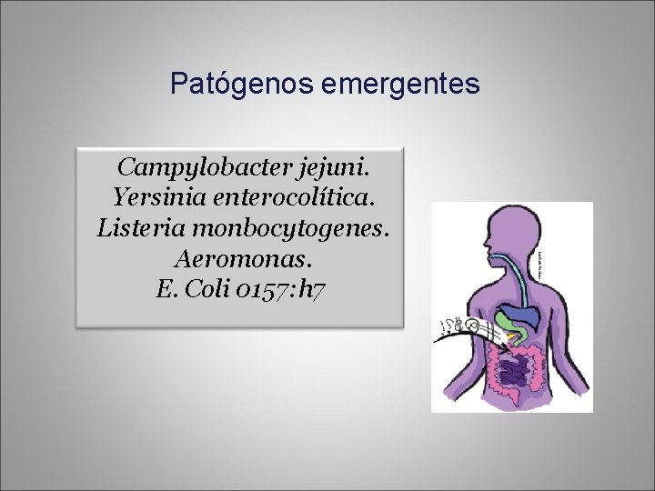 Patógenos emergentes Campylobacter jejuni. Yersinia enterocolítica. Listeria monbocytogenes. Aeromonas. E. Coli 0157: h 7