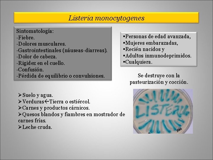 Listeria monocytogenes Sintomatología: -Fiebre. -Dolores musculares. -Gastrointestinales (náuseas-diarreas). -Dolor de cabeza. -Rigidez en el