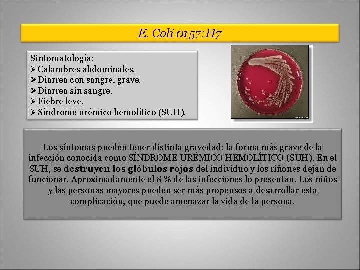 E. Coli 0157: H 7 Sintomatología: ØCalambres abdominales. ØDiarrea con sangre, grave. ØDiarrea sin