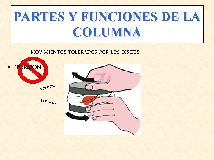 PARTES Y FUNCIONES DE LA COLUMNA MOVIMIENTOS TOLERADOS POR LOS DISCOS • TORSION EBRA