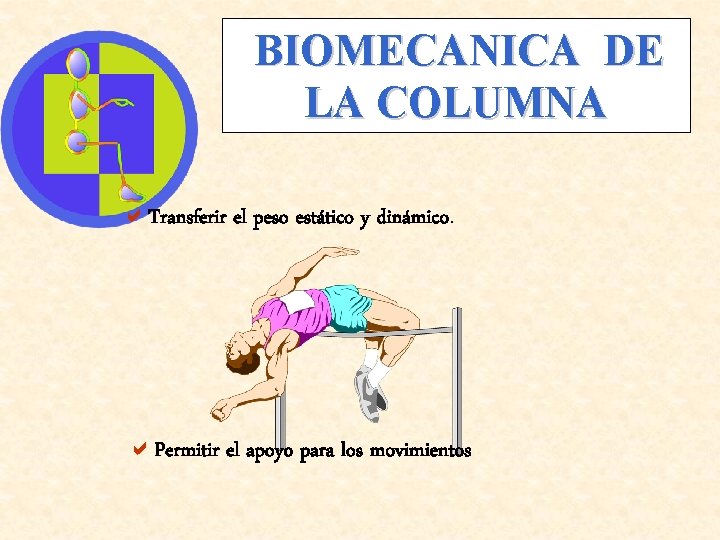 BIOMECANICA DE LA COLUMNA a. Transferir el peso estático y dinámico. a. Permitir el