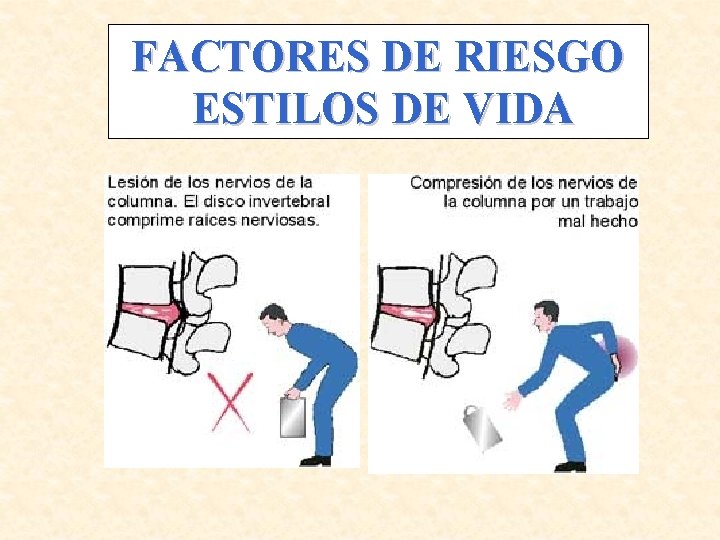 FACTORES DE RIESGO ESTILOS DE VIDA 