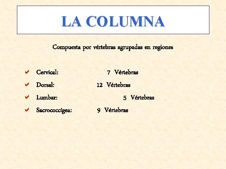 LA COLUMNA Compuesta por vértebras agrupadas en regiones a a Cervical: Dorsal: Lumbar: Sacrococcígea: