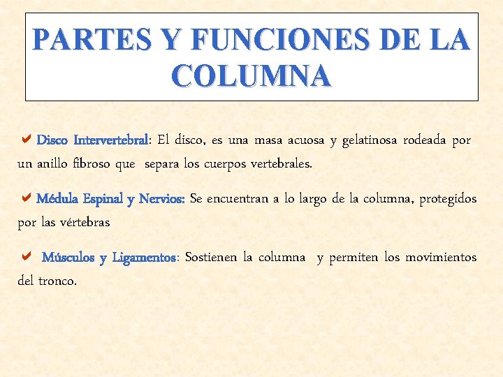 PARTES Y FUNCIONES DE LA COLUMNA a. Disco Intervertebral: El disco, es una masa