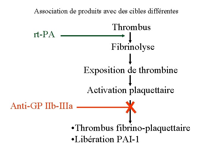 Association de produits avec des cibles différentes Thrombus rt-PA Fibrinolyse Exposition de thrombine Activation