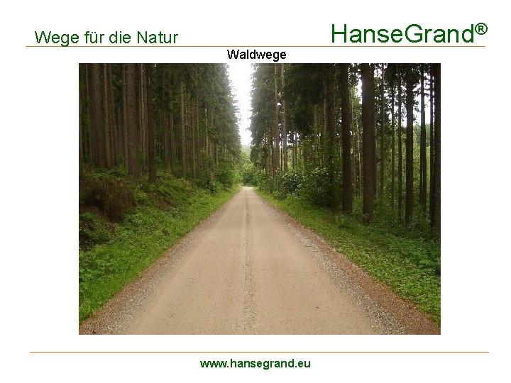 Wege für die Natur Waldwege www. hansegrand. eu Hanse. Grand® 