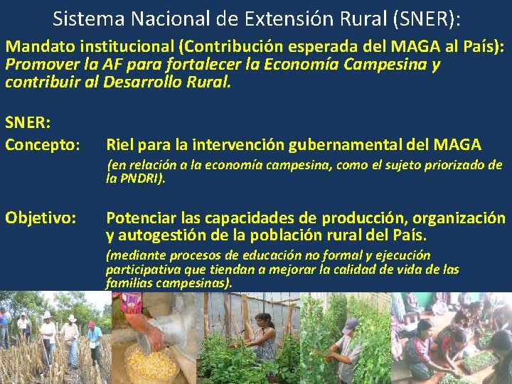 Sistema Nacional de Extensión Rural (SNER): Mandato institucional (Contribución esperada del MAGA al País):