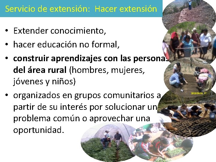 Servicio de extensión: Hacer extensión • Extender conocimiento, • hacer educación no formal, •