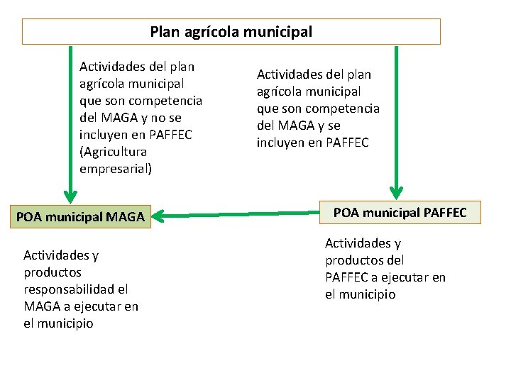 Plan agrícola municipal Actividades del plan agrícola municipal que son competencia del MAGA y