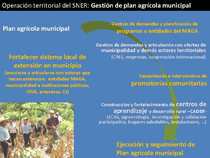 Operación territorial del SNER: Gestión de plan agrícola municipal Plan agrícola municipal Gestión de