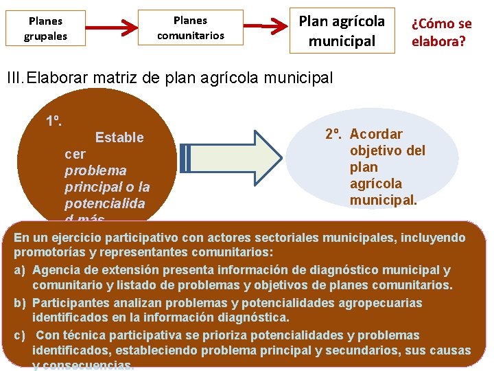 Planes comunitarios Planes grupales Plan agrícola municipal ¿Cómo se elabora? III. Elaborar matriz de
