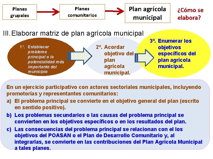Planes grupales Planes comunitarios Plan agrícola municipal ¿Cómo se elabora? III. Elaborar matriz de