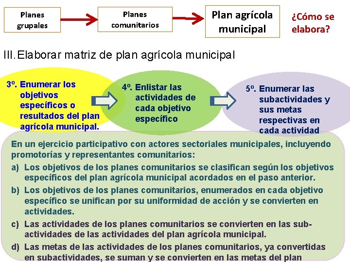 Planes grupales Planes comunitarios Plan agrícola municipal ¿Cómo se elabora? III. Elaborar matriz de