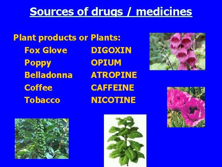 Sources of drugs / medicines Plant products or Plants: Fox Glove DIGOXIN Poppy OPIUM