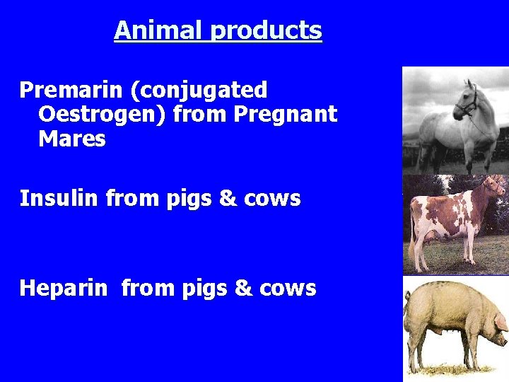 Animal products Premarin (conjugated Oestrogen) from Pregnant Mares Insulin from pigs & cows Heparin