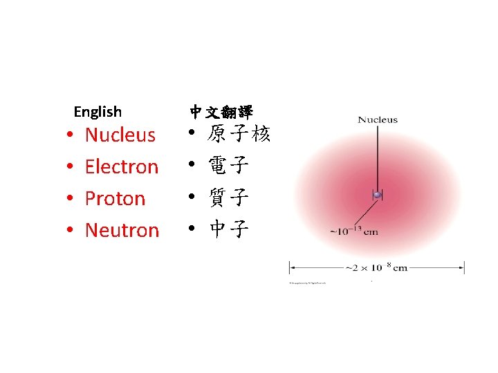 English • • Nucleus Electron Proton Neutron 中文翻譯 • • 原子核 電子 質子 中子