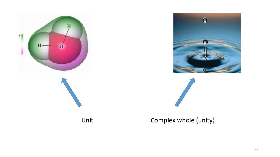 Unit Complex whole (unity) 44 