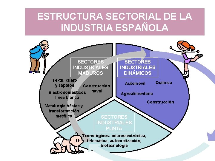 ESTRUCTURA SECTORIAL DE LA INDUSTRIA ESPAÑOLA SECTORES INDUSTRIALES MADUROS Textil, cuero y zapatos Construcción