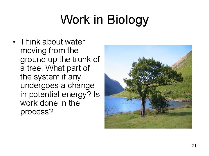 Work in Biology • Think about water moving from the ground up the trunk