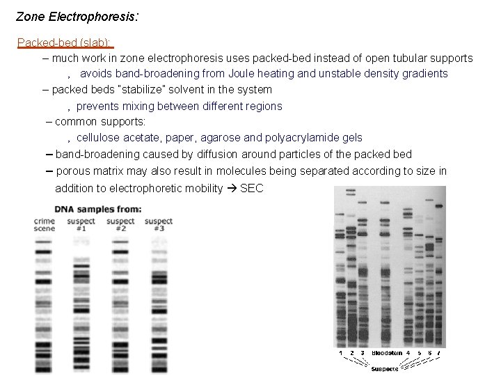 Zone Electrophoresis: Packed-bed (slab): – much work in zone electrophoresis uses packed-bed instead of