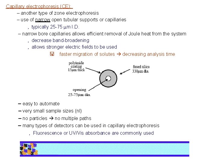 Capillary electrophoresis (CE): – another type of zone electrophoresis – use of narrow open