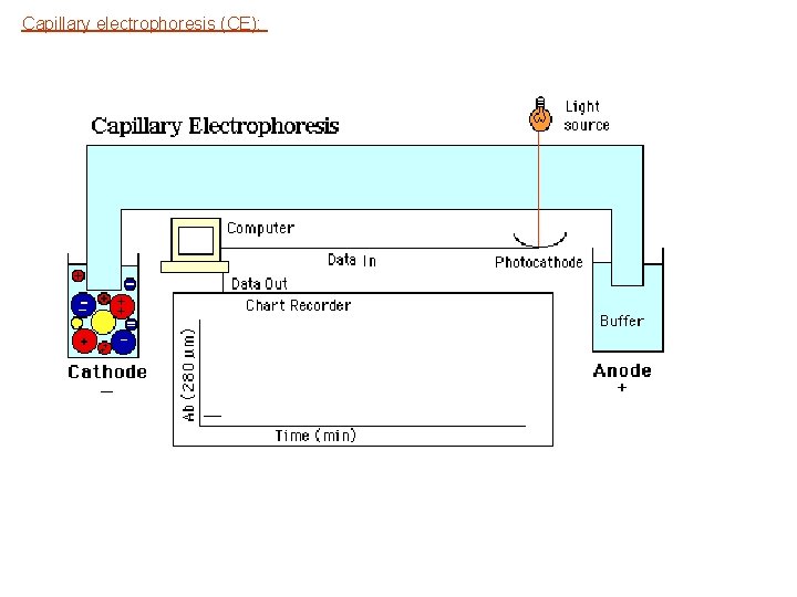 Capillary electrophoresis (CE): 