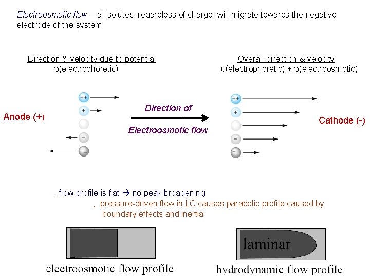 Electroosmotic flow – all solutes, regardless of charge, will migrate towards the negative electrode