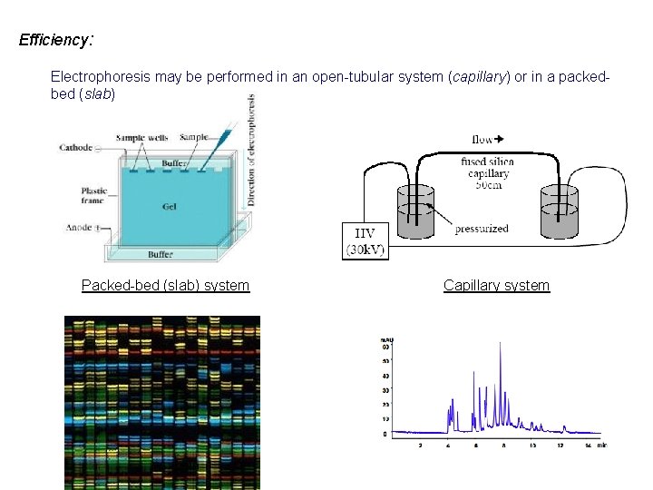 Efficiency: Electrophoresis may be performed in an open-tubular system (capillary) or in a packedbed