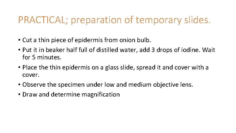 PRACTICAL; preparation of temporary slides. • Cut a thin piece of epidermis from onion