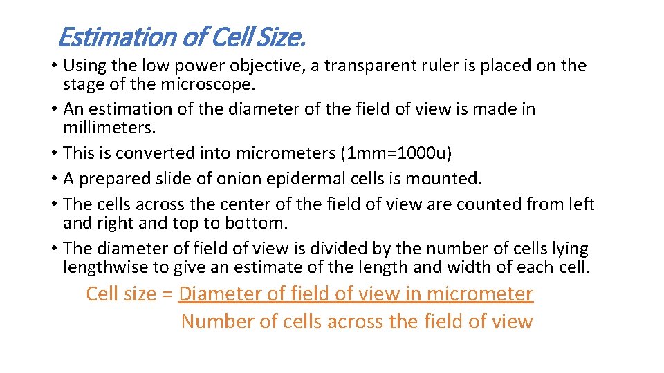 Estimation of Cell Size. • Using the low power objective, a transparent ruler is