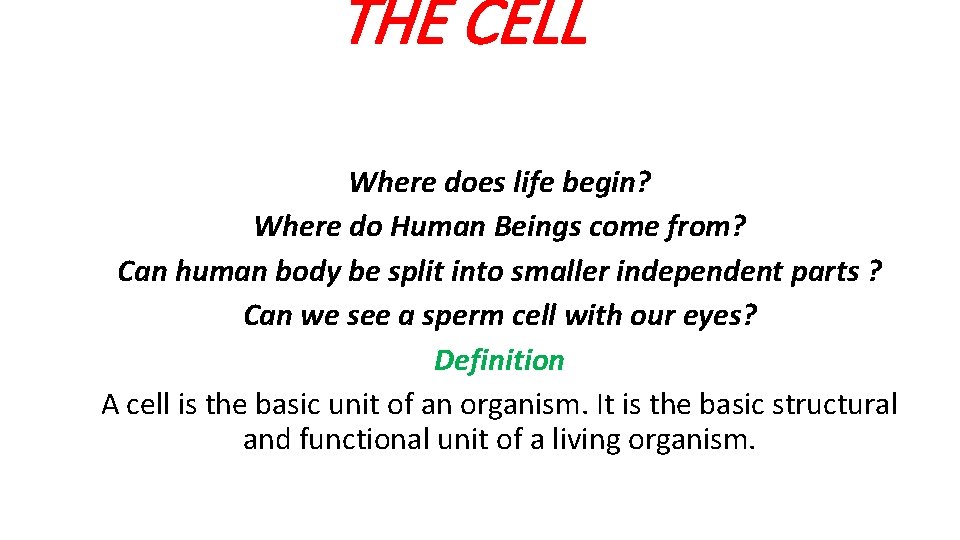 THE CELL Where does life begin? Where do Human Beings come from? Can human