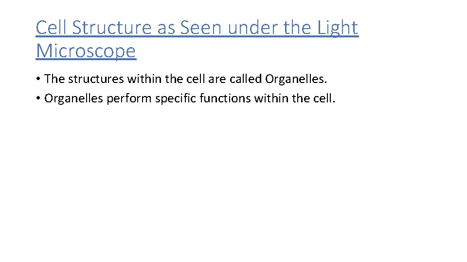 Cell Structure as Seen under the Light Microscope • The structures within the cell
