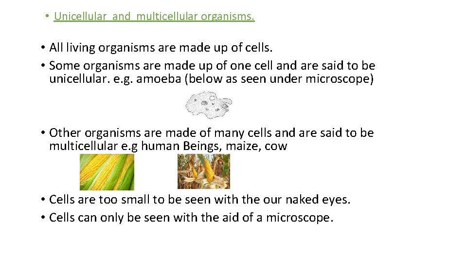  • Unicellular and multicellular organisms. • All living organisms are made up of