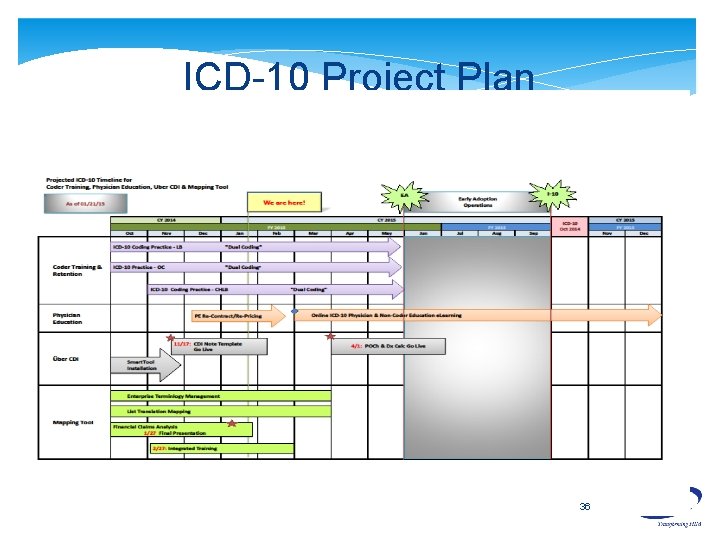 ICD-10 Project Plan 36 