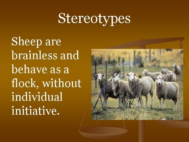 Stereotypes Sheep are brainless and behave as a flock, without individual initiative. 