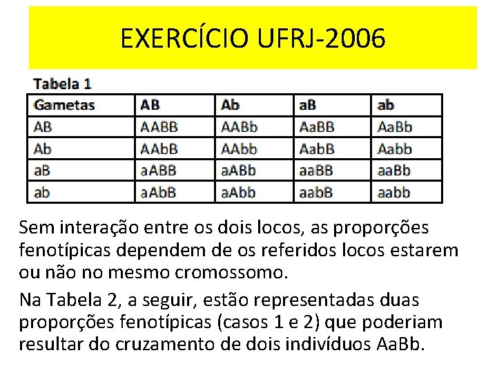 EXERCÍCIO UFRJ-2006 Sem interação entre os dois locos, as proporções fenotípicas dependem de os