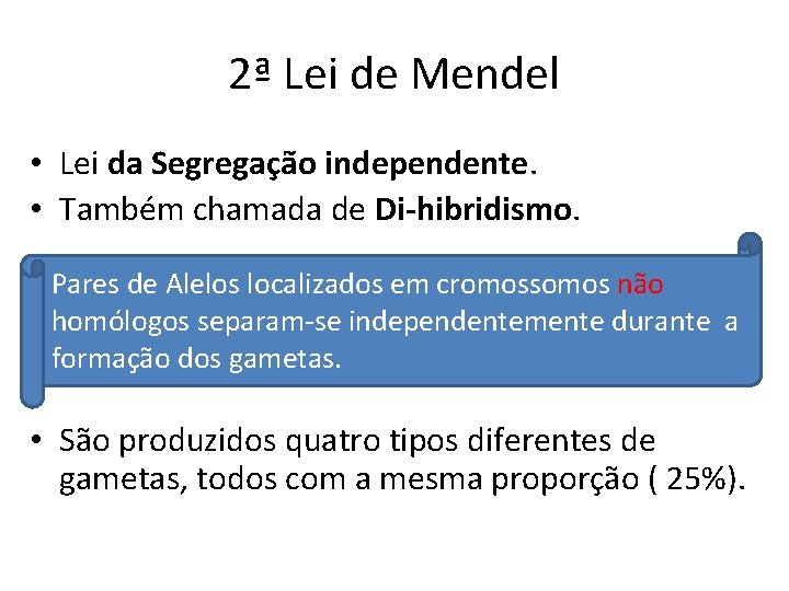 2ª Lei de Mendel • Lei da Segregação independente. • Também chamada de Di-hibridismo.
