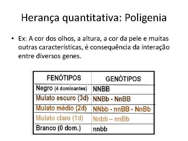 Herança quantitativa: Poligenia • Ex: A cor dos olhos, a altura, a cor da