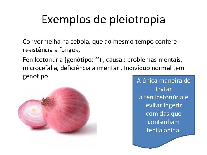 Exemplos de pleiotropia Cor vermelha na cebola, que ao mesmo tempo confere resistência a