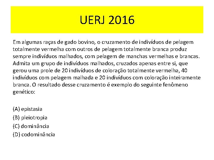 UERJ 2016 Em algumas raças de gado bovino, o cruzamento de indivíduos de pelagem