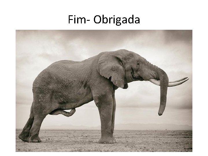 Fim- Obrigada 