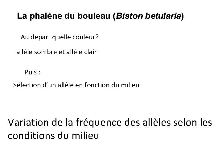 La phalène du bouleau (Biston betularia) Au départ quelle couleur? allèle sombre et allèle