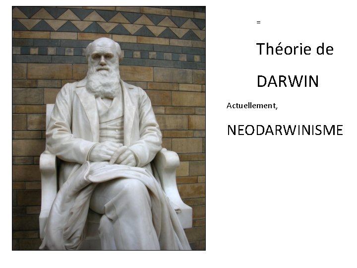 = Théorie de DARWIN Actuellement, NEODARWINISME 