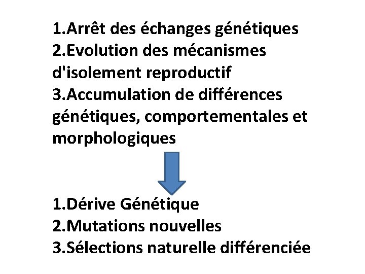1. Arrêt des échanges génétiques 2. Evolution des mécanismes d'isolement reproductif 3. Accumulation de
