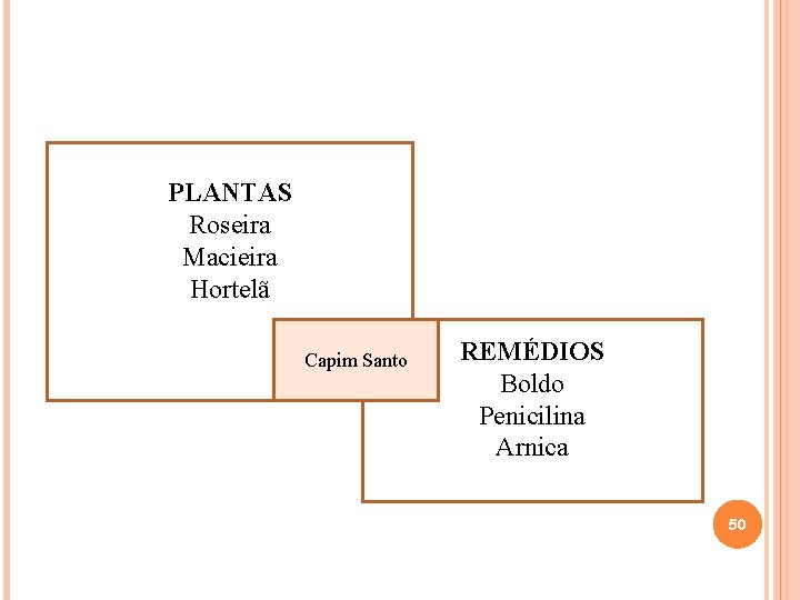 PLANTAS Roseira Macieira Hortelã Capim Santo REMÉDIOS Boldo Penicilina Arnica 50 PLANTAS Roseira Macieira Hortelã Capim Santo REMÉDIOS Boldo Penicilina Arnica 50