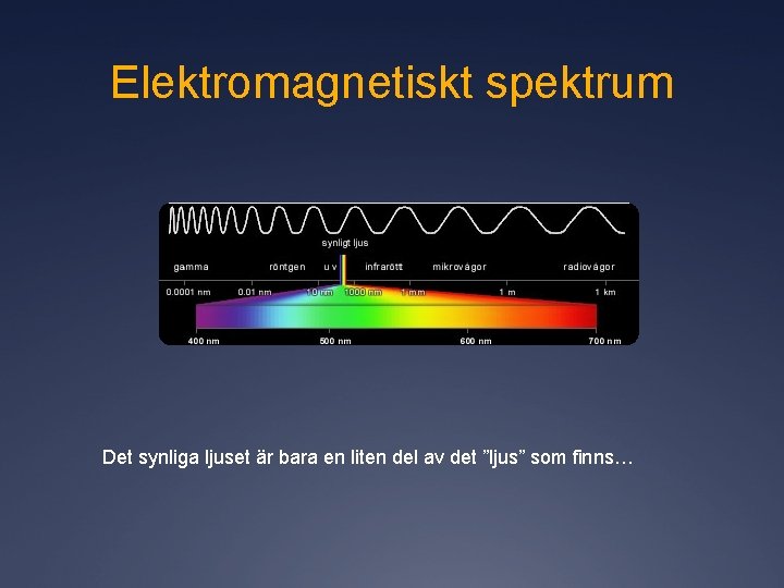 Elektromagnetiskt spektrum Det synliga ljuset är bara en liten del av det ”ljus” som