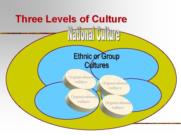 Three Levels of Culture Organizational culture v Organizational culture 