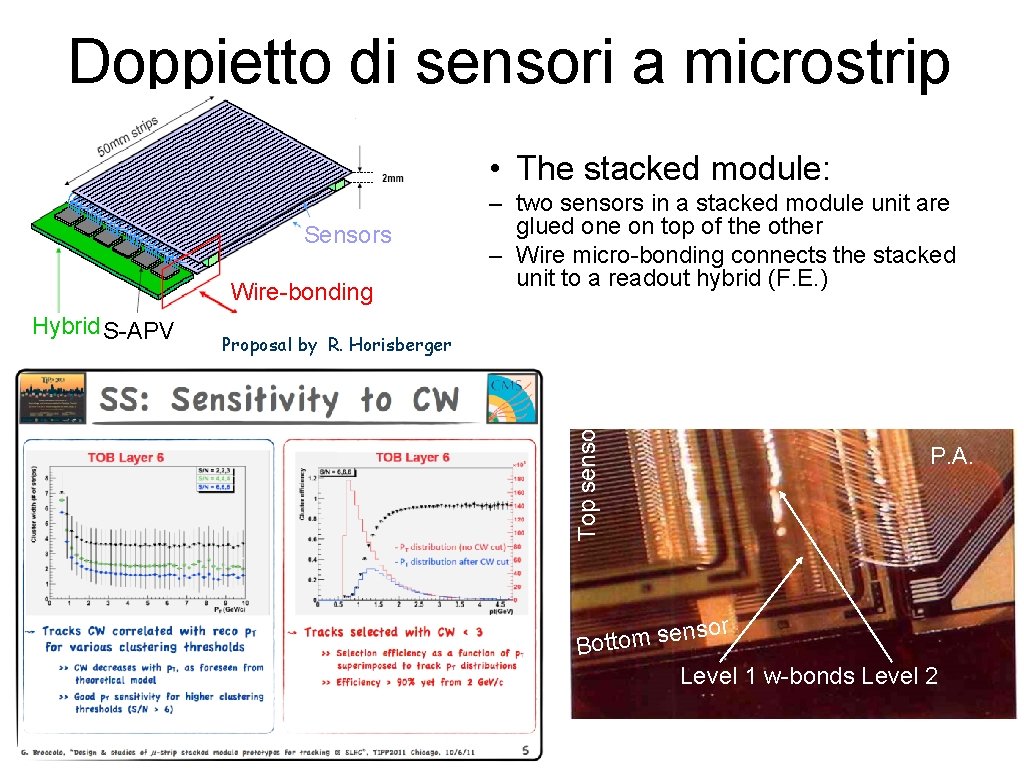 Doppietto di sensori a microstrip • The stacked module: Sensors Wire-bonding Proposal by R.