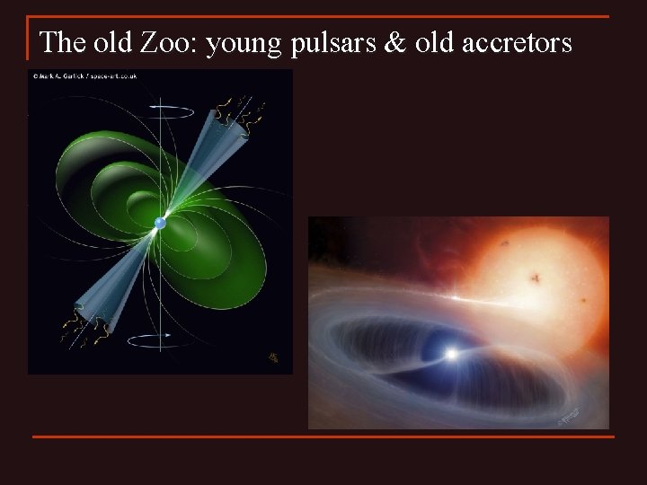 The old Zoo: young pulsars & old accretors 