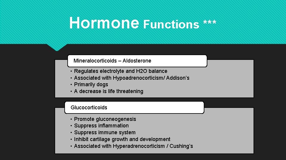 Hormone Functions *** Mineralocorticoids – Aldosterone • • Regulates electrolyte and H 2 O